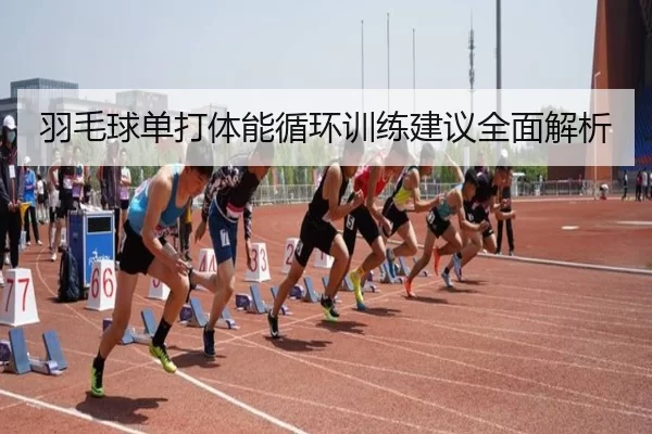 img_1780966634908_410_0_800.jpg